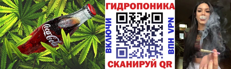как найти закладки  Медвежьегорск  Еда ТГК марихуана 