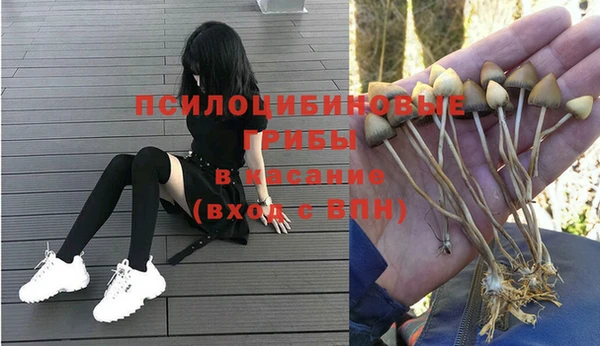 марки nbome Ладушкин